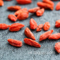 Bästa Ningxia High Quality Torkad Goji Berry / Wolfberry